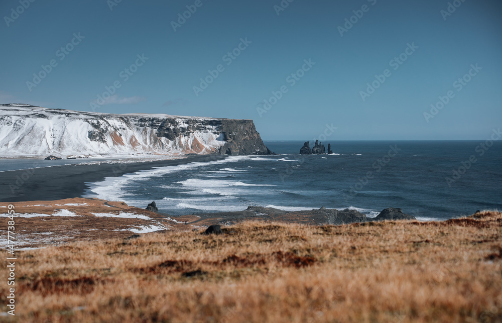 Dramatic winter landscape of Icelandic Black Sand Beach Reynisfjara near town Vik. Stormy sea shore of volcanic black beach in fog weather