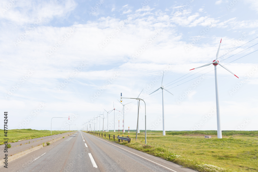 Fototapeta premium 北海道の一本道