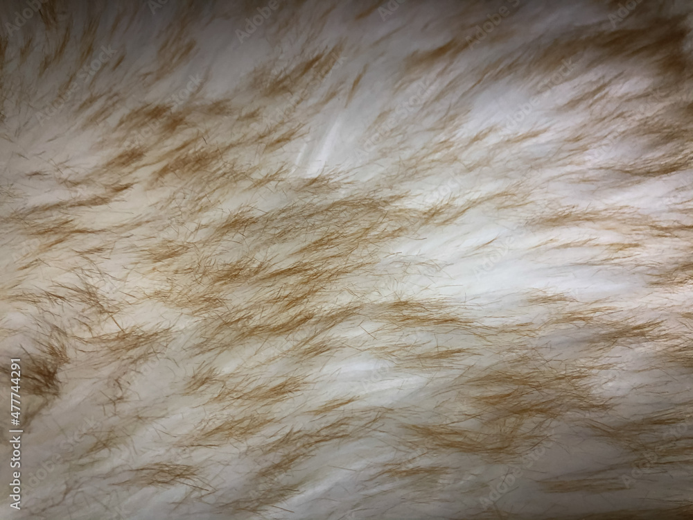 Fototapeta premium Brown fur texture background. Copy space for your text.