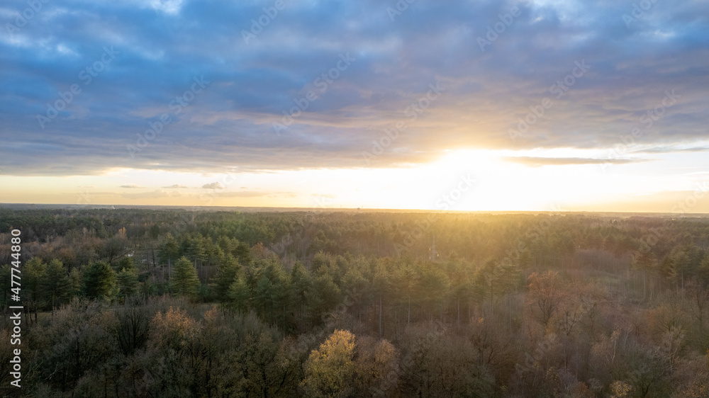 Fototapeta premium Beautiful sunset over a river with green bushes and color rich sky. High quality photo