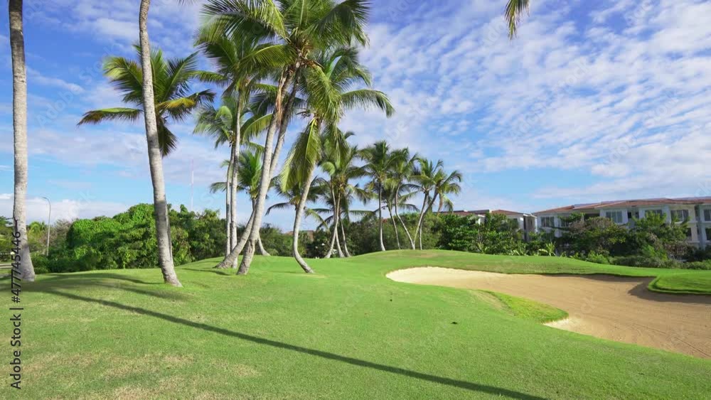 Beautiful green golf course at the golf club. Palm trees on a green grass background. Summer park on a sunny morning under the blue sky. Beautiful green golf course at the golf club. Palm trees on a green grass background. Summer park on a sunny morning under the blue sky.