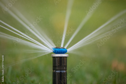 Foto The rotary nozzle of the automatic watering system waters the juicy young green lawn grass