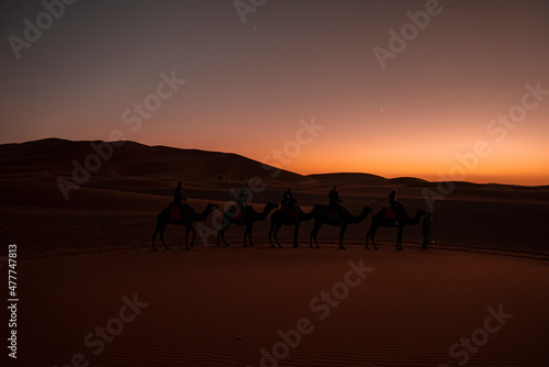 Sahara  Morocco. October 10  2021. Male guide leads camels caravan with tourists going through the sand in sahara desert during dusk  Tourists are riding camels in desert