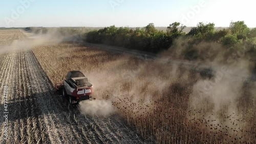 Aerial view of several harvesters on a field of sunflowers. Harvesting sunflower seeds for sunflower oil production