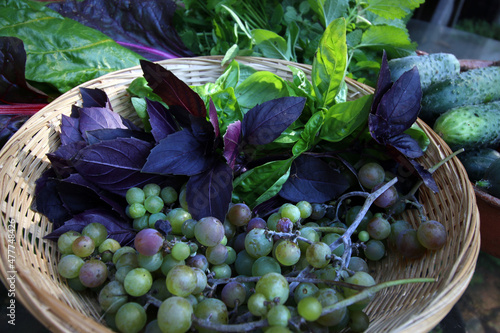 owoce, warzywa i zioła w koszyku na stole plony lato