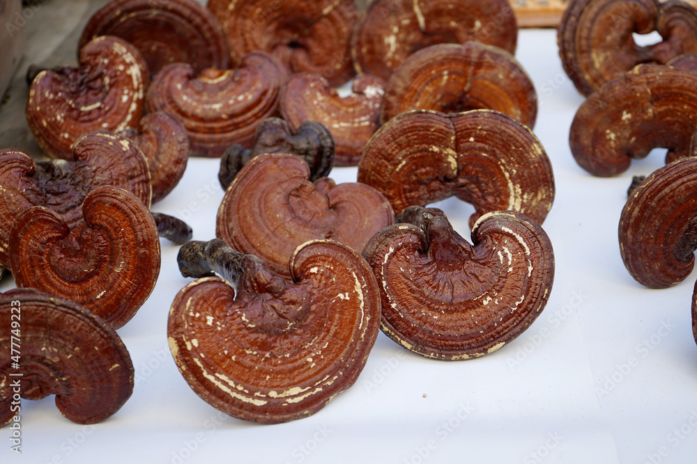 Obraz premium 전통시장에는 약초를 판매합니다.