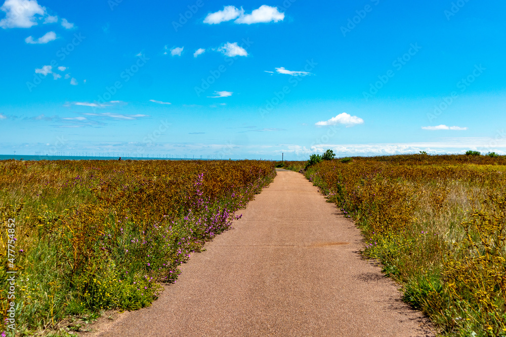 road in the countryside road in the countryside