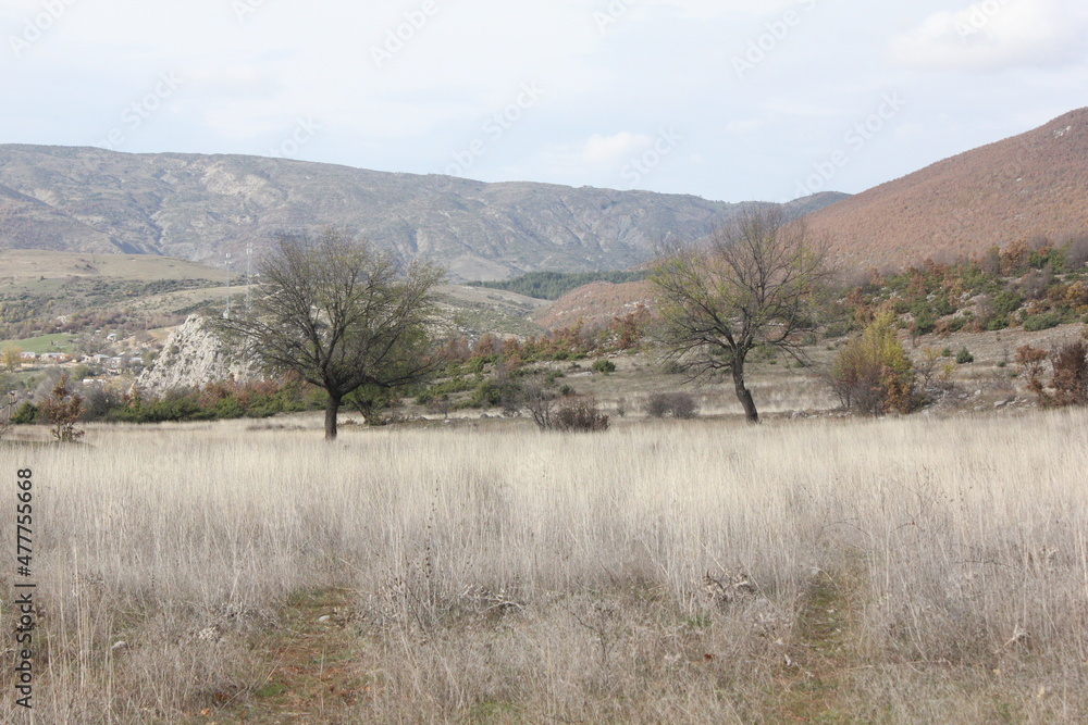autumn on the road, street called SH75 Albania autumn on the road, street called SH75 Albania