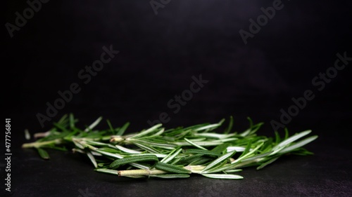 Fresh rosemary as a close-up against dark background
