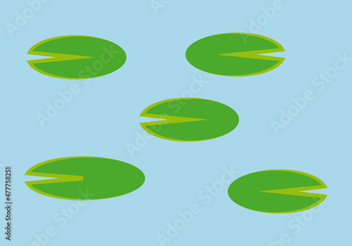 Fondo de charca o lago con plantas flotando. 