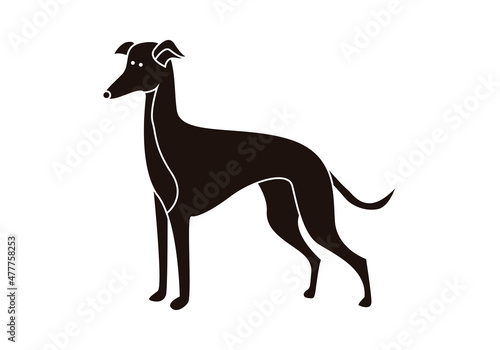 Icono negro de galgo en fondo blanco.  photo