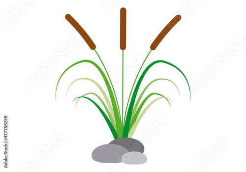 Icono en color de juncos y espadaña. 