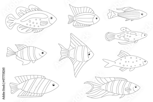 collection of freshwater fish for your coloring page