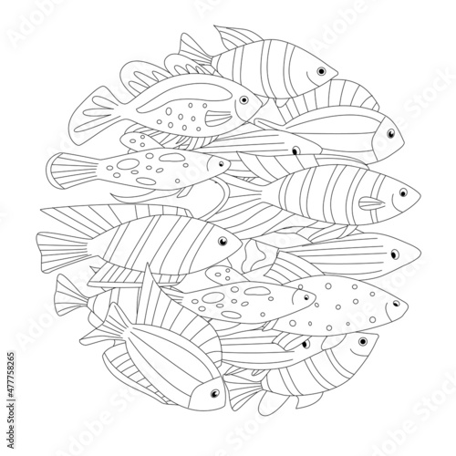abstract round mandala with collection of freshwater fish for yo