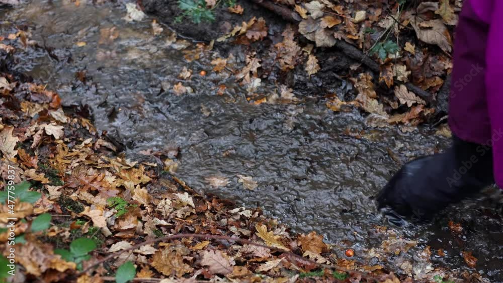 Young child walking in a shallow stream with fallen autumn leaves, wearing rubber (wellington) boots. Close up. Young child walking in a shallow stream with fallen autumn leaves, wearing rubber (wellington) boots. Close up.