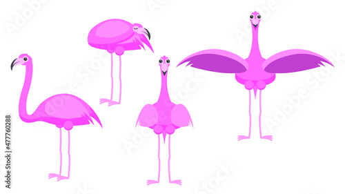 Set Abstract Collection Flat Cartoon Different Animal Flamingo Stand, Speeping, With Outstretched Wings Vector Design Style Elements Fauna Wildlife © Дмитрий