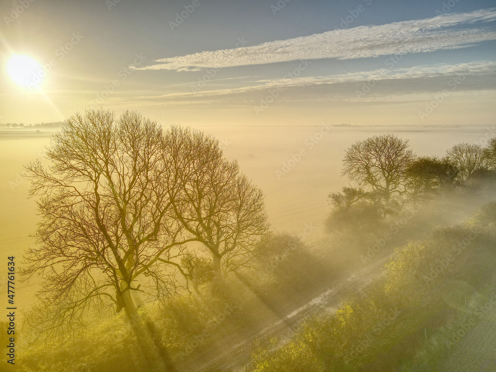 Patrington Mist