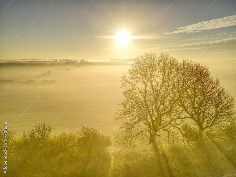 Patrington Mist Patrington Mist