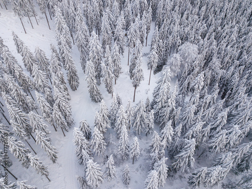 Luftaufnahme mit Drohe des Taunus im Winter bei Schnee, Hessen Deutschland