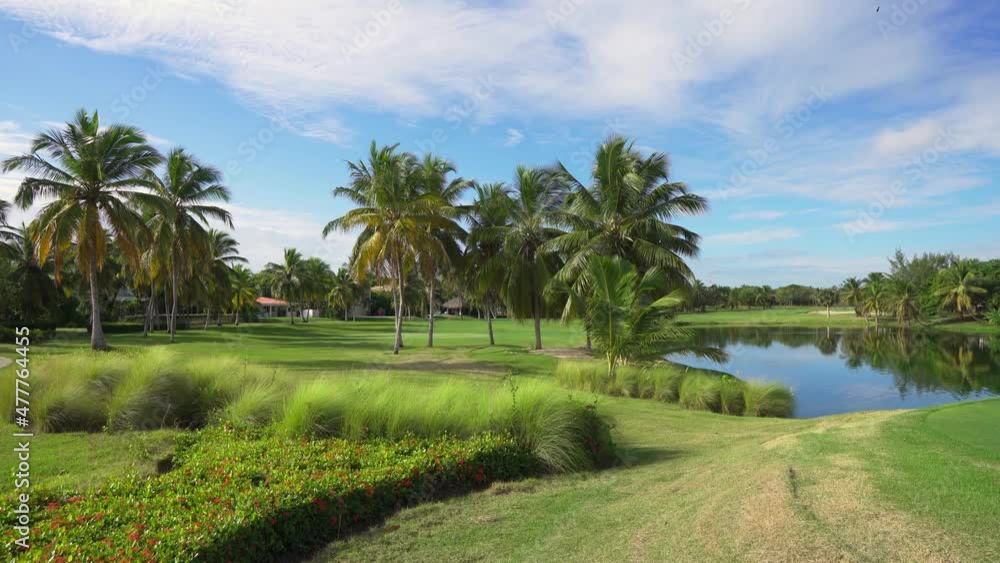 Large green golf course with palm trees and a pond. Green meadow grass in a tropical park in the Dominican Republic. A bright sunny day. Large green golf course with palm trees and a pond. Green meadow grass in a tropical park in the Dominican Republic. A bright sunny day.