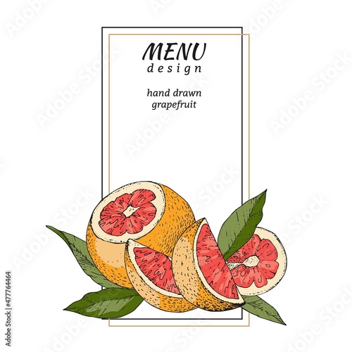 Vector illustration with hand drawn grapefruit. A color sketch composition fruits and leaves. Ready-made design for the menu page, packaging, labels, and advertising. Vintage engraving style