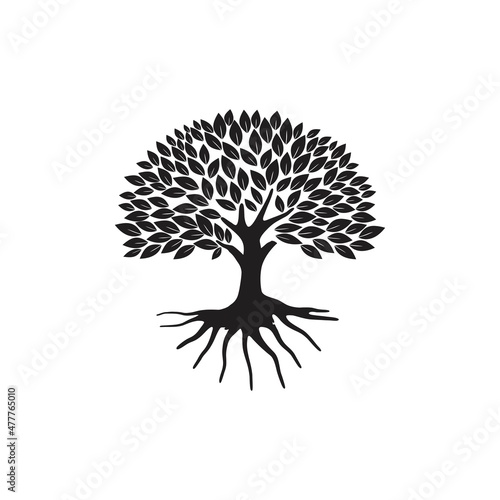 olive tree vector silhouette, with leaves, branches, and roots. photo