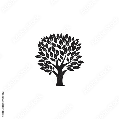 olive tree vector silhouette, with leaves, branches, and roots. photo