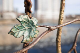 grape leaf on a metal fence . close up view