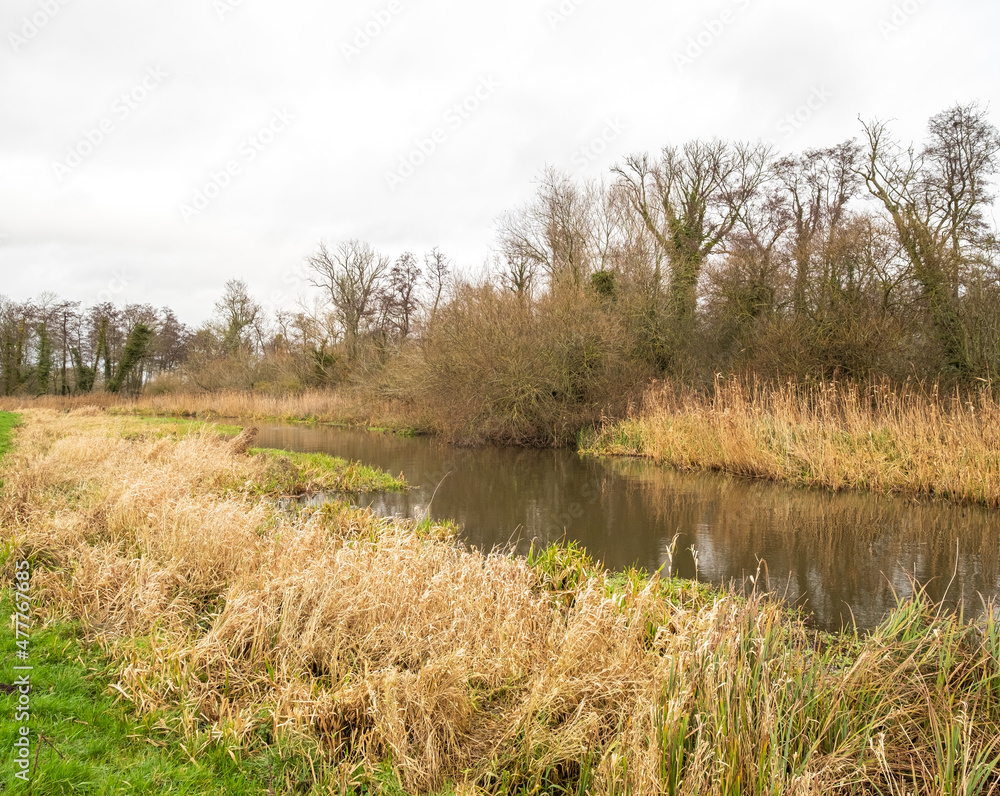 The River Bure in full flood flowing through meadows in the Norfolk village of Buxton. Captured on a bright, but cold, winter’s day