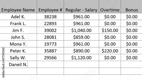 Typing Company Payroll Financial Figures Numbers For The Current Period in Spreadsheet. Type Up Employee Pay and Overtime in Worksheet File For Business. Corporation Regular Salary. photo