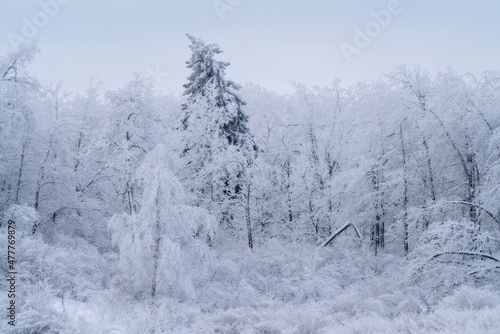 Winter Scene Manitoba © pictureguy32