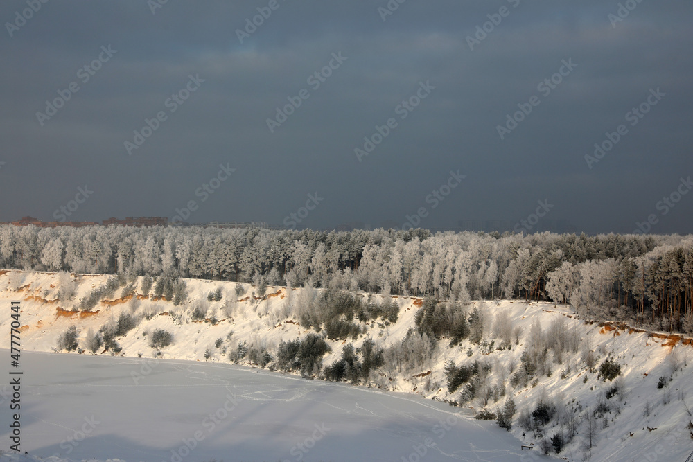 Winter forest, trees top viewWinter forest, trees top view