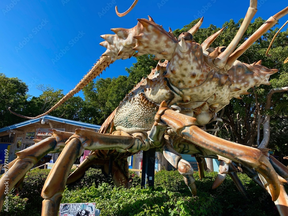 B the Giant Lobster at Islamorada, Florida Keys, anatomically correct  Florida spiny lobster, made of fiberglass by sculptor Richard Blaze  roadside attraction at Rain Barrel Artesian Village. Stock Photo