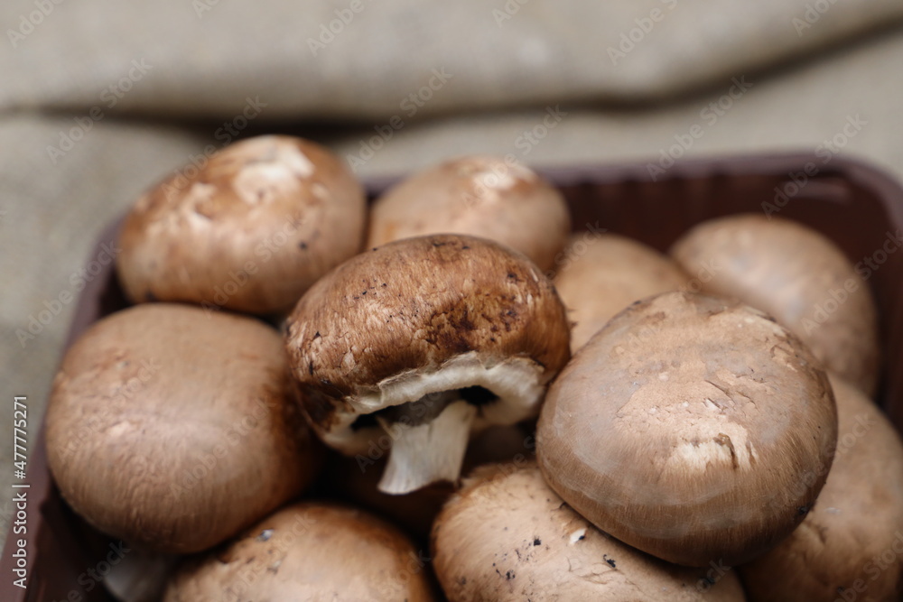 Large brown raw mushrooms royal champignons in a tray on burlap Large brown raw mushrooms royal champignons in a tray on burlap