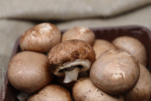 Large brown raw mushrooms royal champignons in a tray on burlap