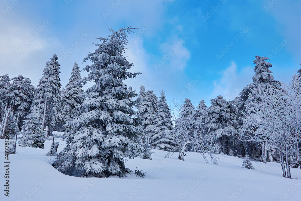 Winterwonderland  Harz