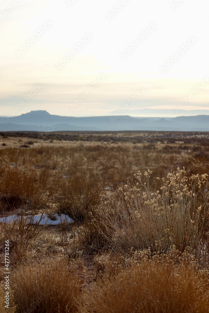 desert landscape in winter with patches of snow