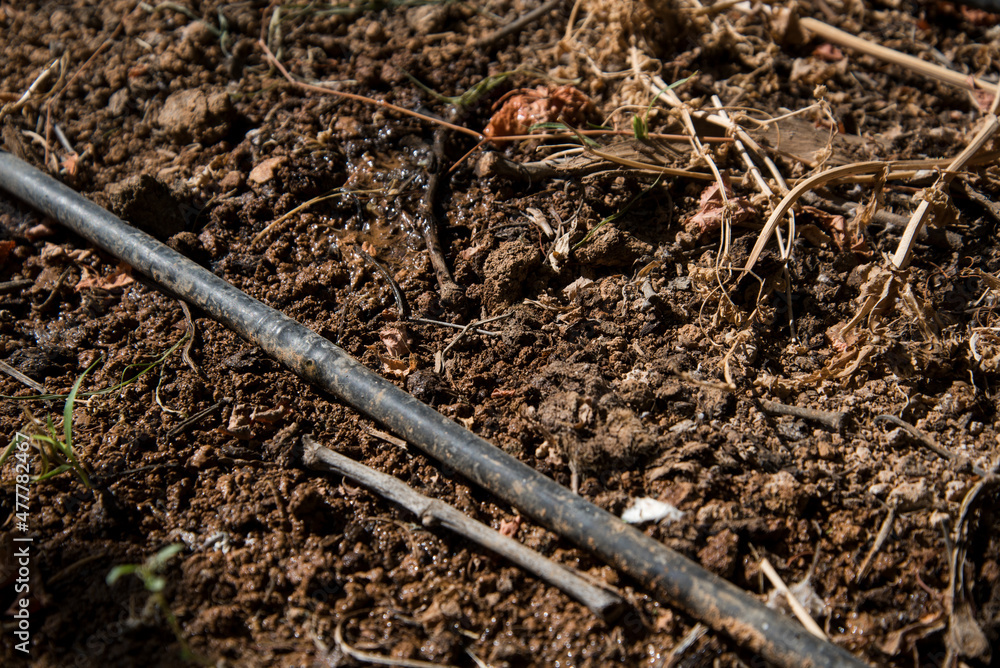 Drip irrigation Drip irrigation