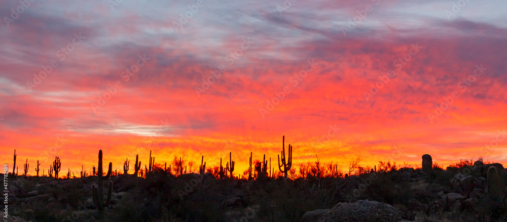Obraz premium Wide Angle View Of Fiery Desert Sunrise In Scottsdale, Arizona