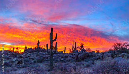 Fiery Desert Sunrise Skies In Scottsdale Arizona