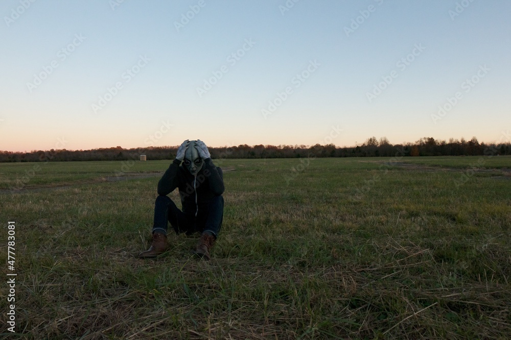 Stranded Alien at the UFO crash site