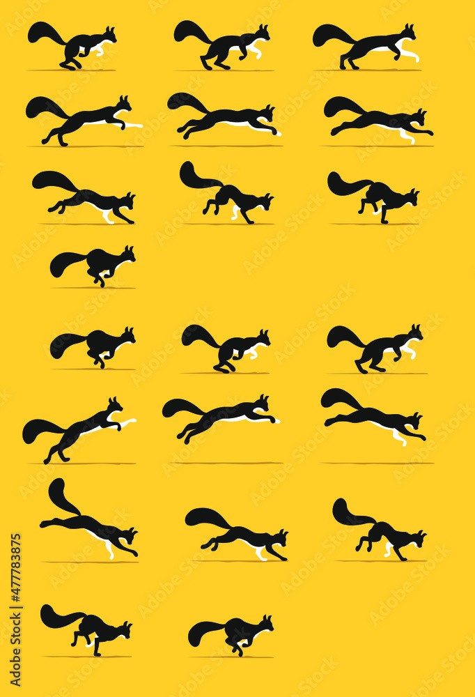 Storyboarding a cat running and jumping. Vector image of a feline movement. Image to create animation