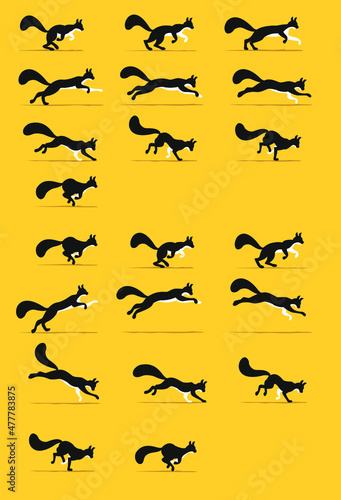 Storyboarding a cat running and jumping. Vector image of a feline movement. Image to create animation