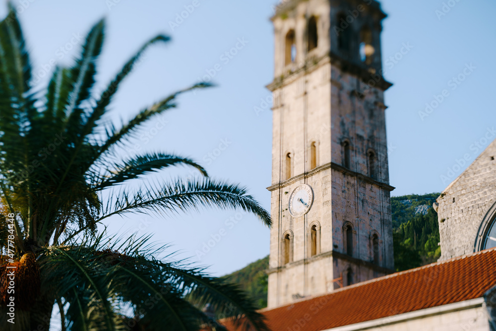 Palm leaves in the background of the bell tower of the Church of St. Nicholas. Montenegro