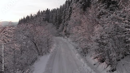 Winter in the mountains. Forest in the snow. Shooting from a quadcopter.