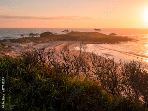Canvas Print Angourie Morning