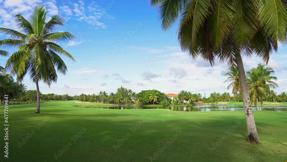 Long green palm leaves against the blue sky. Grassy lawn in a summer tropical park. Lake with clear water on a sunny day. Long green palm leaves against the blue sky. Grassy lawn in a summer tropical park. Lake with clear water on a sunny day.