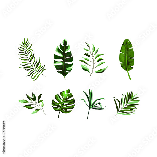 Illustration vector graphic of leaves fit for background and decoration