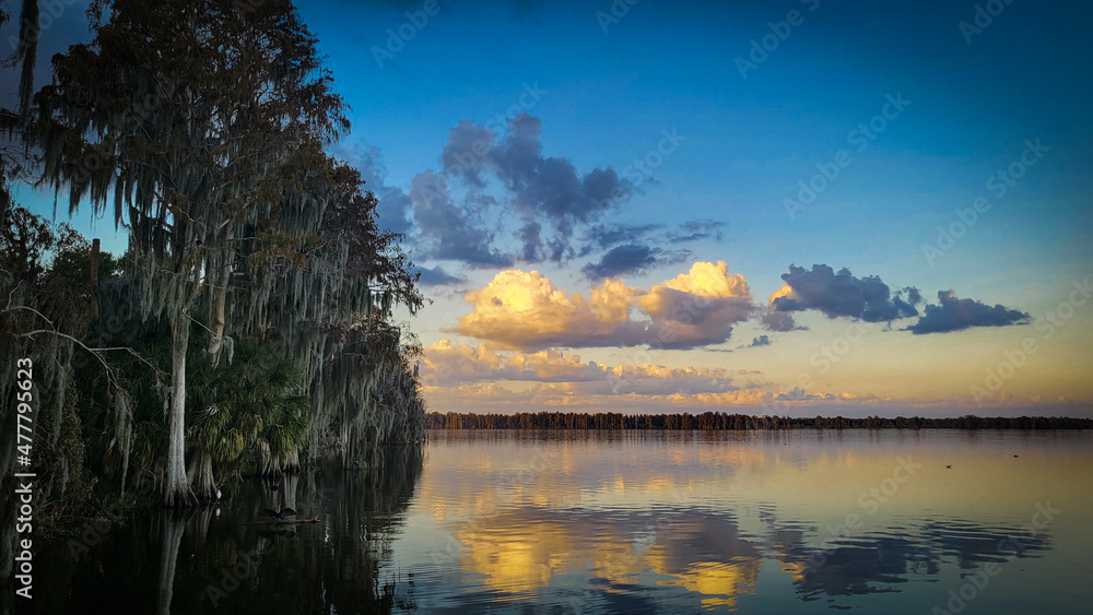 Sunset in the Swamp Trees and Lake Sunset in the Swamp Trees and Lake