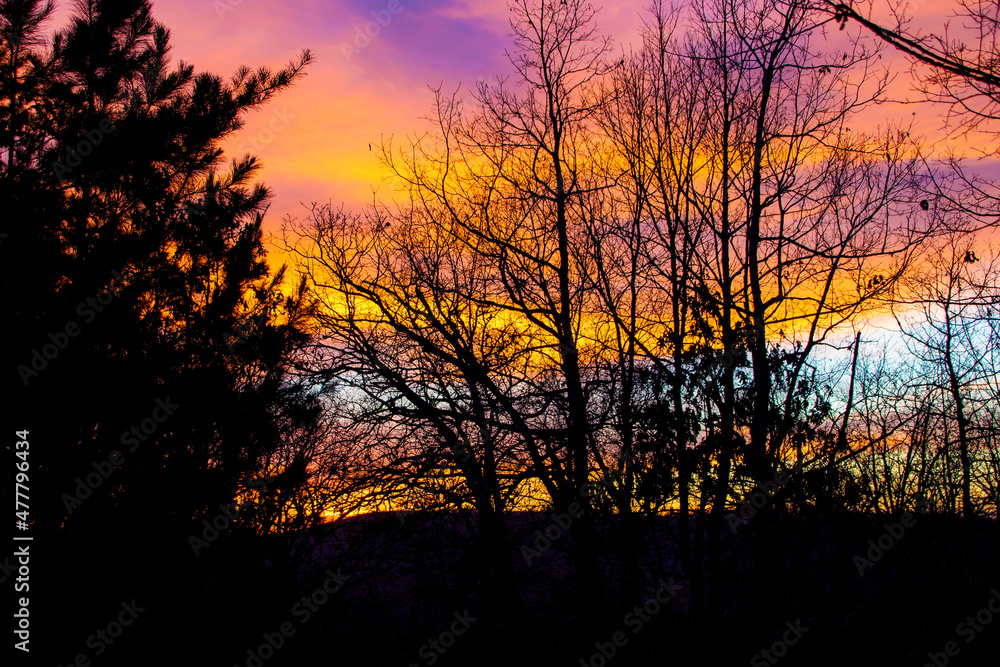 Sunset in stripes in the woods behind sihlouttes of trees on hill. Sunset in stripes in the woods behind sihlouttes of trees on hill.